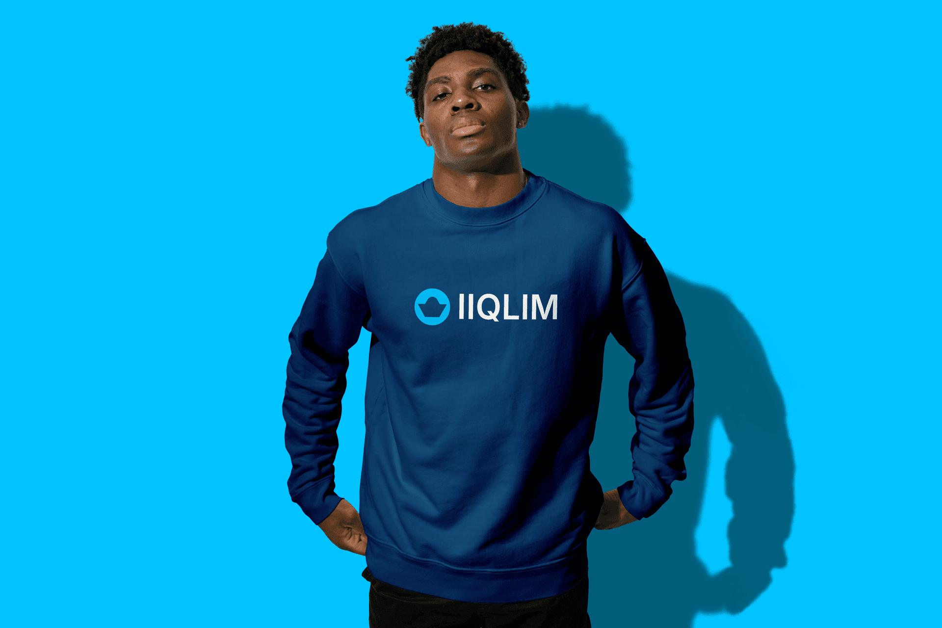 IIQLIM — visual 4
