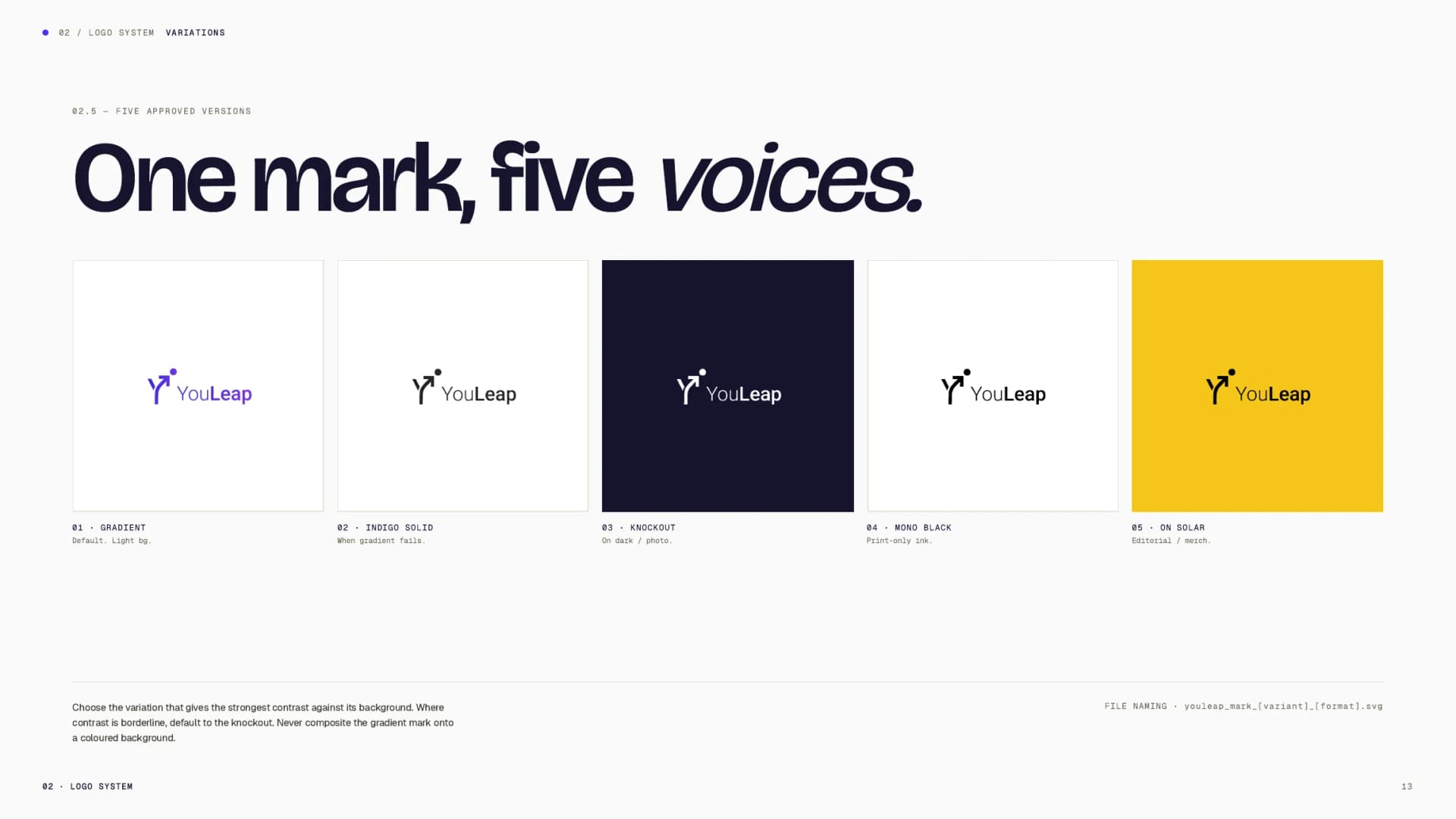 YouLeap — visual 2
